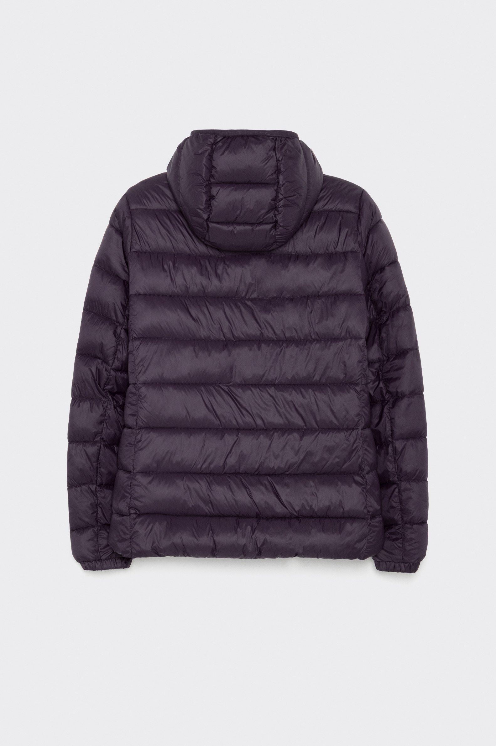 Manteau Sportwear Champion Polyfilled Homme Decimas