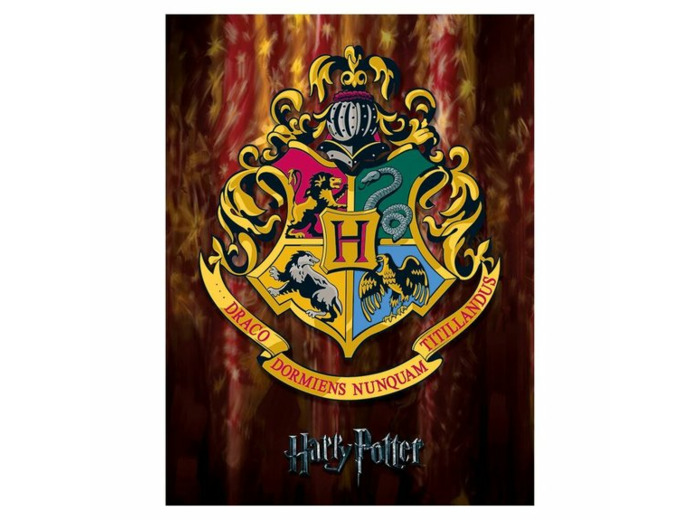Harry Potter - Toile Imprimée Blason Hogwarts 60x80 Cm