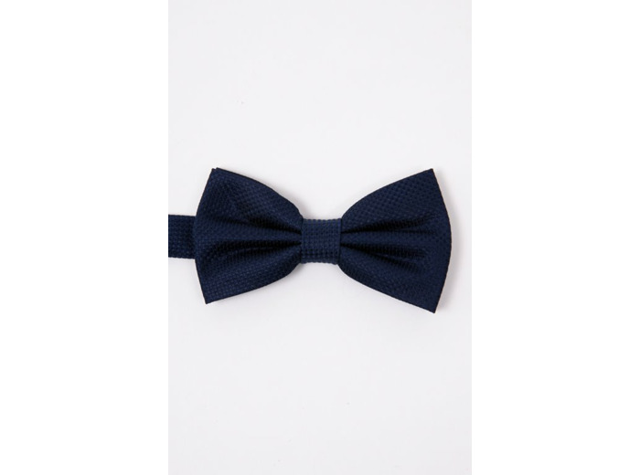 Noeud papillon en soie