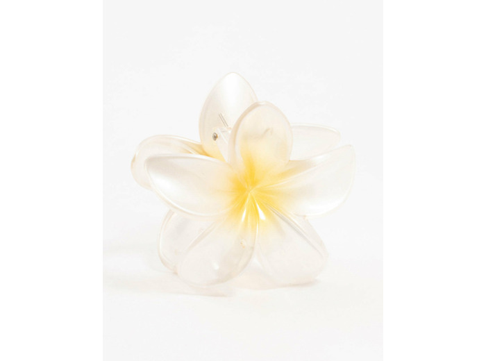 Ombre Plastic Frangipani Claw Clip