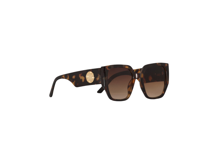 Lunettes de soleil