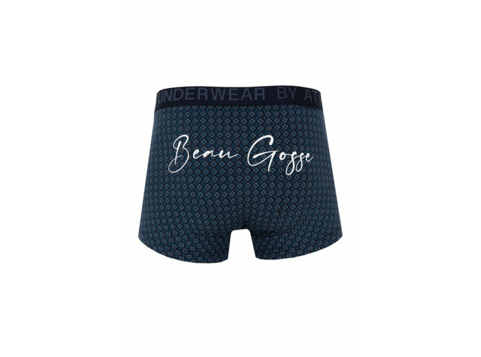 Boxer Beau Gosse