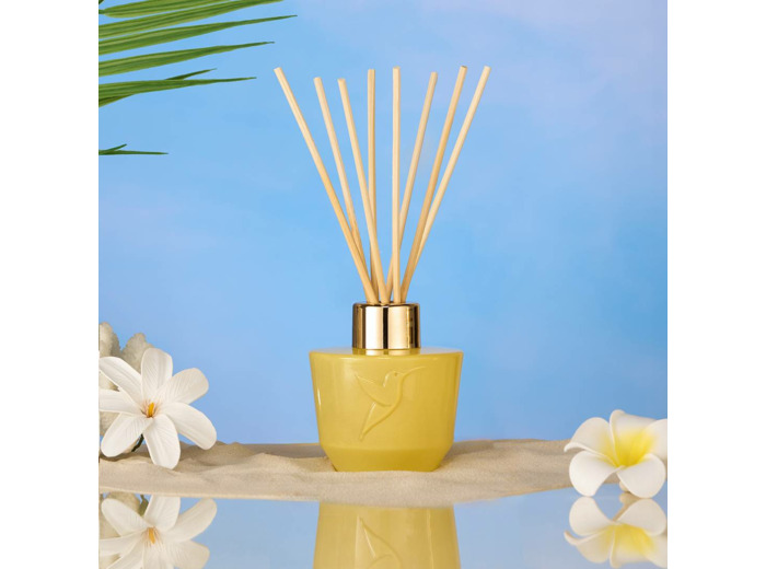 Diffuseur 100 ml