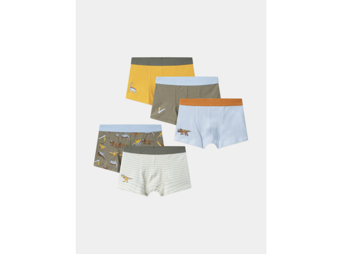 Lot de 5 boxers Dino  en jersey