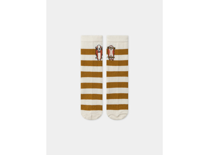 Chaussettes rayées avec skateboard