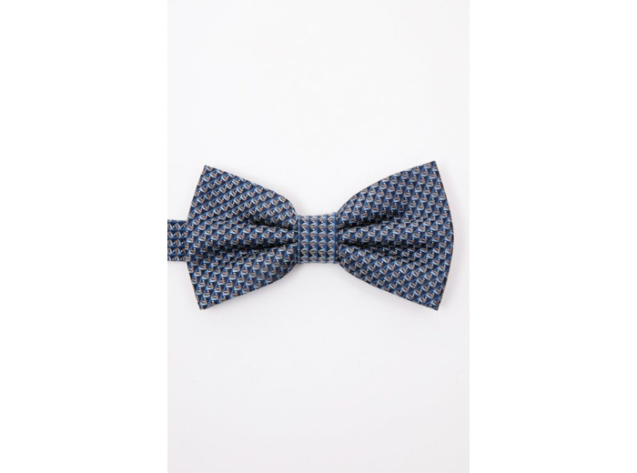 Noeud papillon en soie