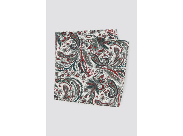 Pochette de costume - Multicolore