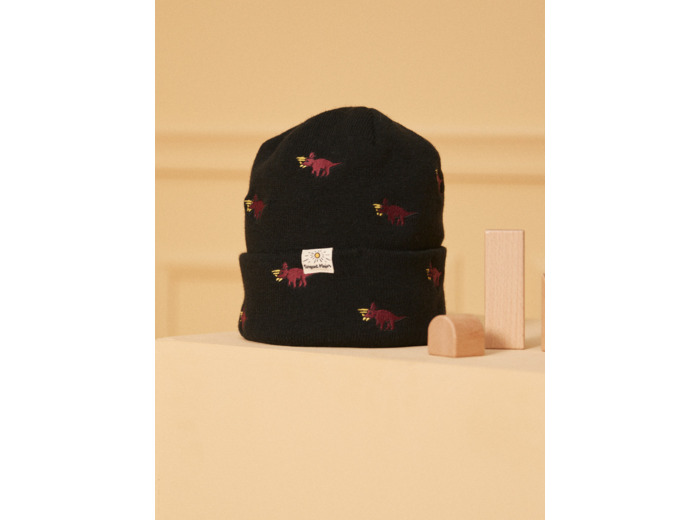 Bonnet Bleu marine