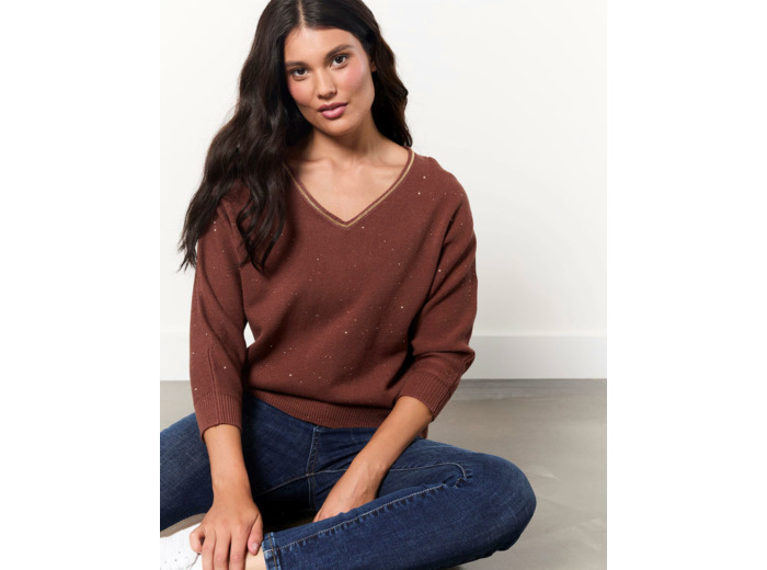 Pull épais en mélange coton uni décoré MARRON Femme