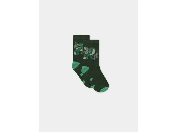 Chaussettes vertes foncées dinosaure Garçon
