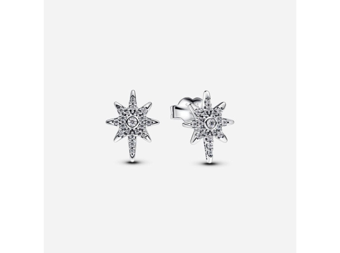 Clous d’Oreilles Étoile Polaire Scintillante