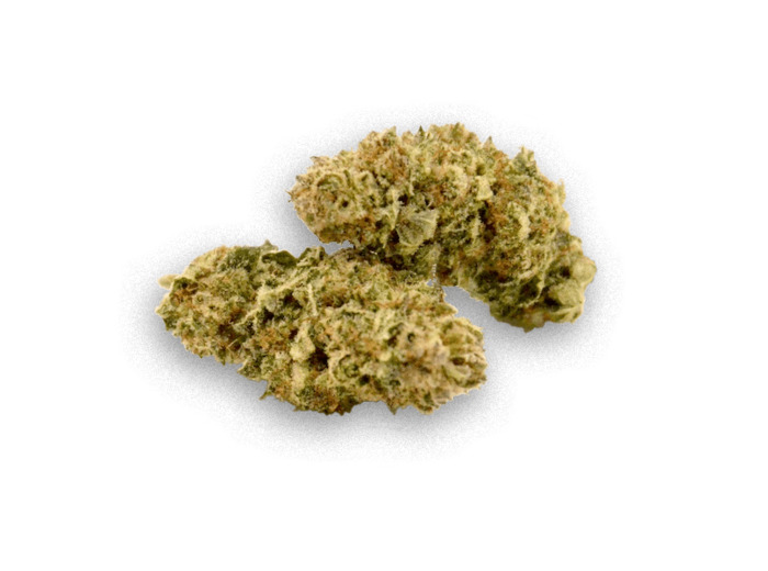 White Widow
