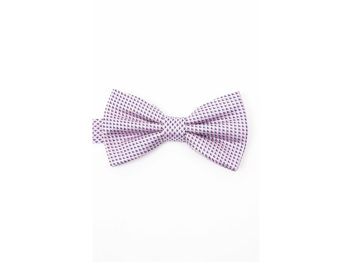 Noeud papillon en soie
