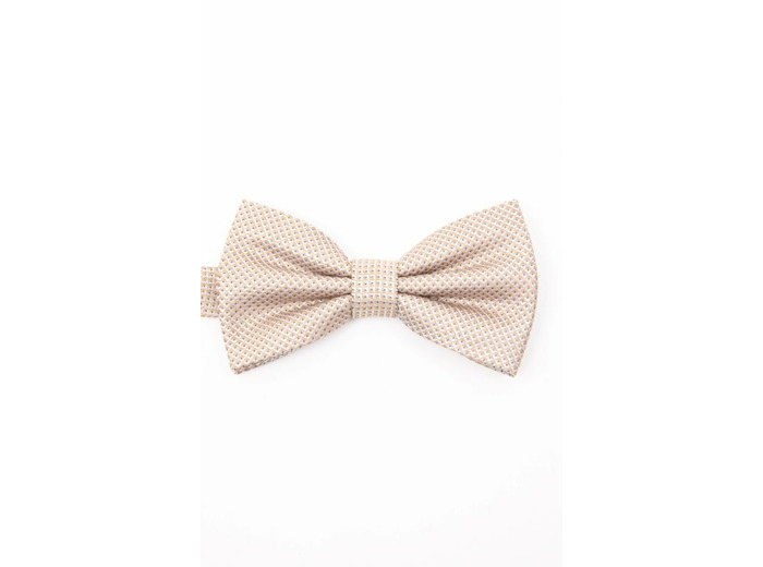 Noeud papillon en soie