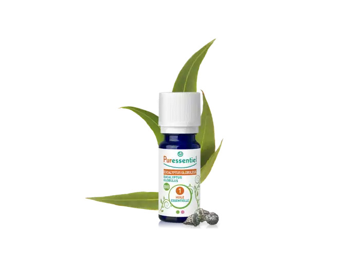 Puressentiel Huiles Essentielles - Hebbd Eucalyptus Globuleux Bio* - 10 Ml