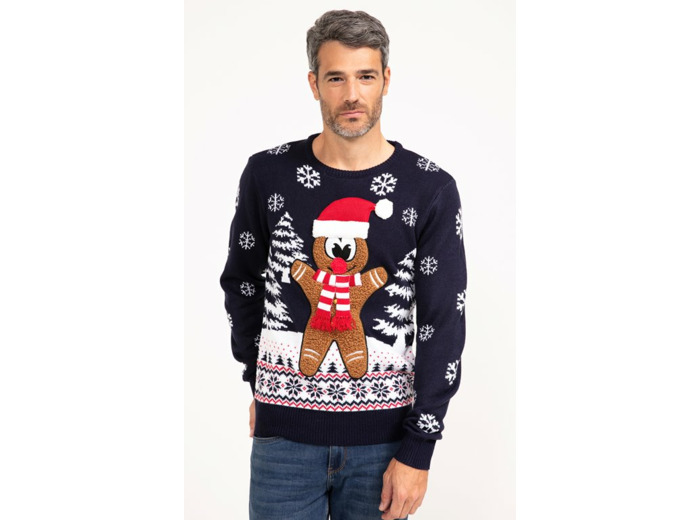 Pull de Noël Biscuit