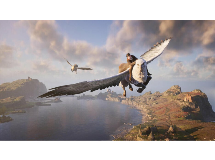 Hogwarts Legacy : L'heritage De Poudlard | Occasion