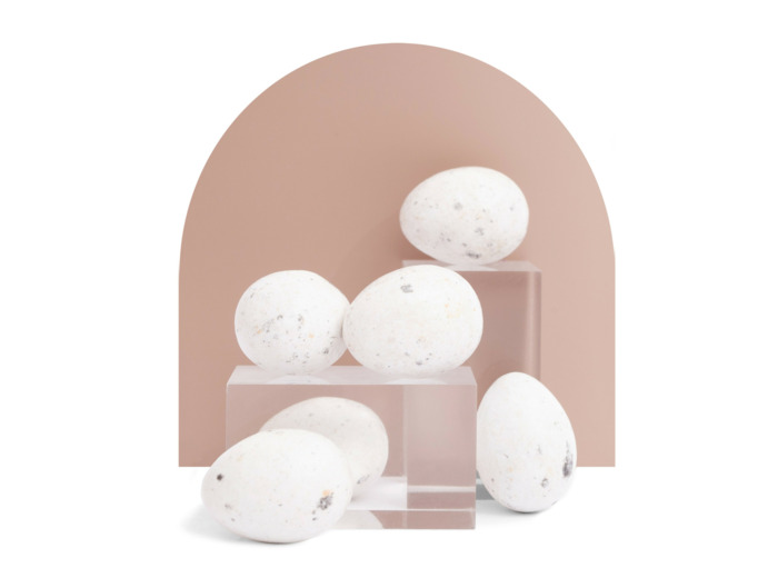 Oeufs de mouette