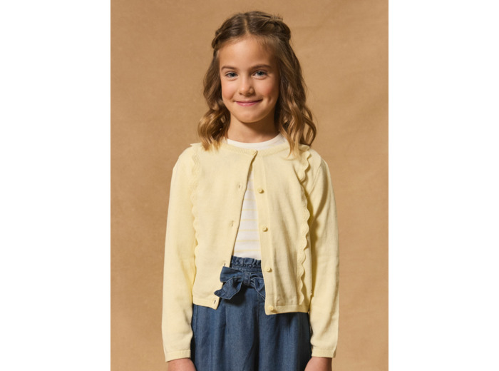 Gilet jaune