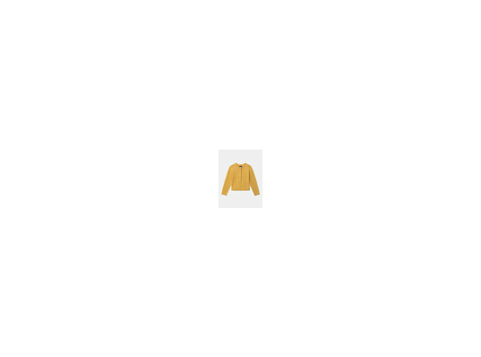 gilet jaune brodé