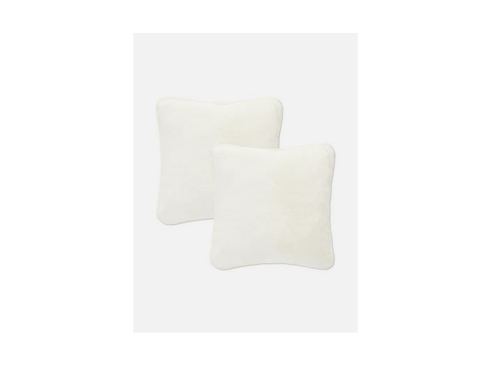 Lot de 2 coussins carrés à point de feston