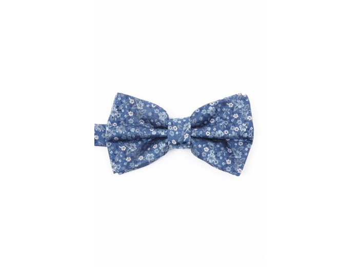 Noeud papillon en soie
