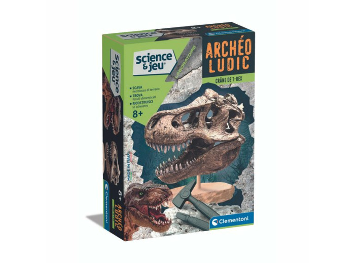 Crâne de T-REX - Archéo Ludic