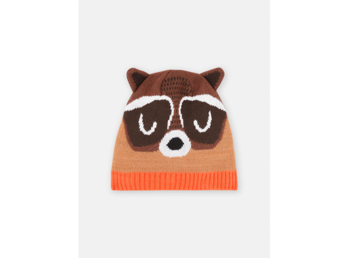 Bonnet à motif raton laveur pour garçon