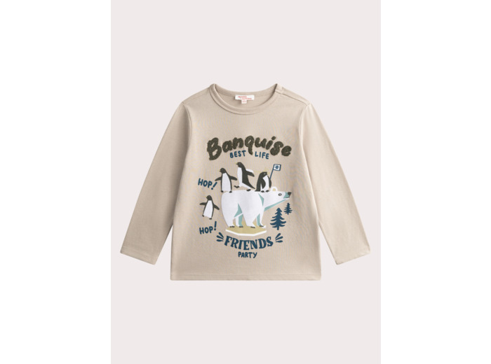 T-shirt gris animation banquise pour garçon