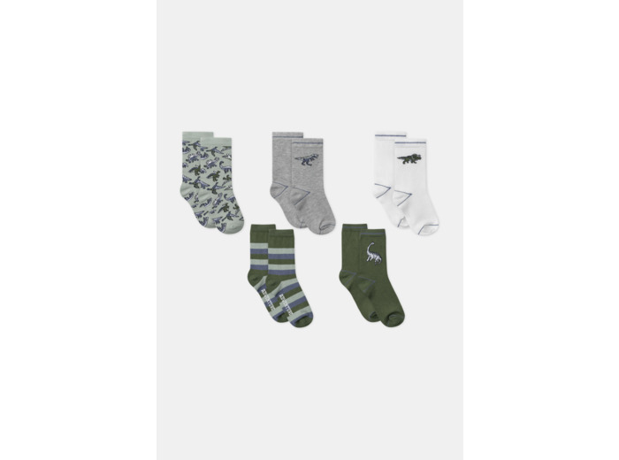 Lot de 5 chaussettes fantaisies
