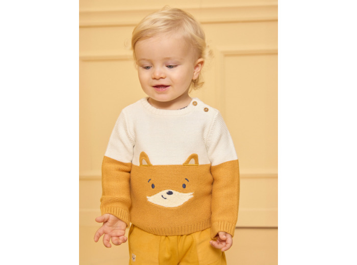 Pull tête de renard bicolore