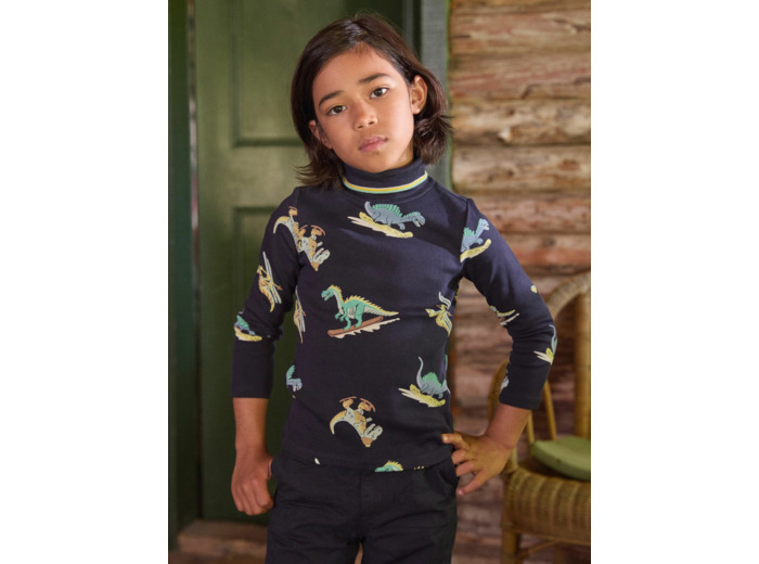 Sous pull Dinosaure