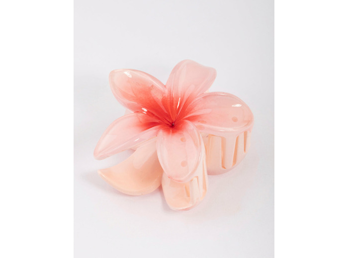 Acrylic Ombre Tropical Claw Clip