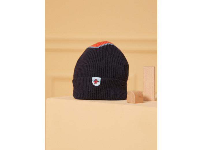 Bonnet maille côtelé bicolore