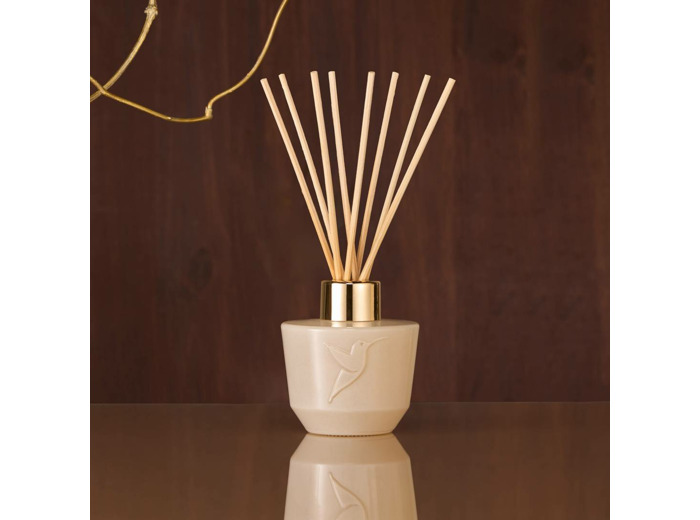 Diffuseur 100 ml