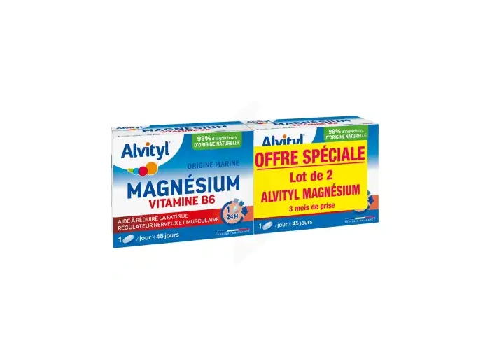Alvityl Magnésium Vitamine B6 Libération Prolongée Comprimés Lp 2 Boîtes De 45