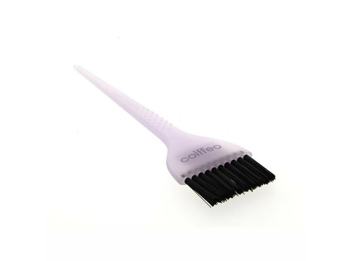 Pinceau Violet