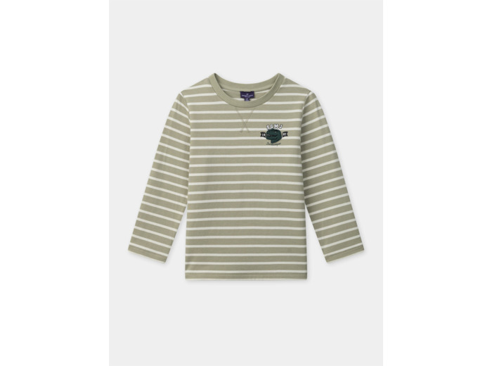 T-shirt vert pâle à rayures blanc et patch dinosaure en manches longues Garçon