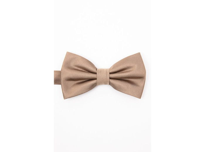 Noeud papillon en soie Satin