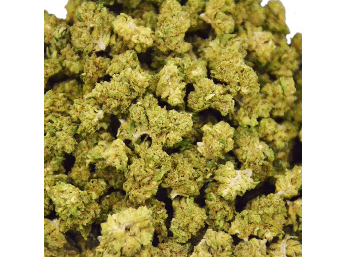 Small Bud