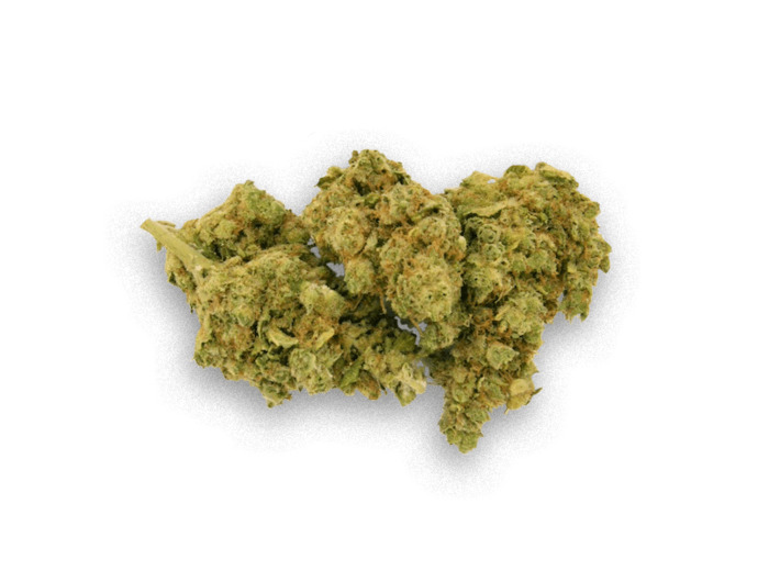 Northern Light