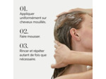 Shampooing régénérant pour cuirs chevelus normaux à gras Renewing Elements 500ml