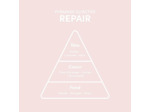 Spray thermo-protecteur Repair Thermo