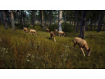 Way Of The Hunter - Occasion