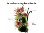 Sérum réparateur à rincer Absolut Repair Molecular