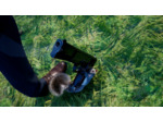 Squirrel With A Gun