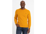 Sweat Manches Longues Dolce