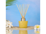 Diffuseur 100 ml