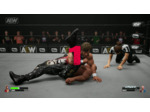 Aew: Fight Forever - Occasion