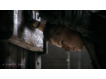 A Plague Tale Innocence - Occasion